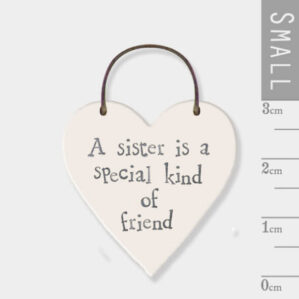 sister is a special kind of friend heart